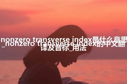 nonzero transverse index是什么意思_nonzero transverse index的中文翻译及音标_用法