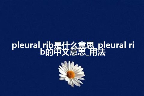 pleural rib是什么意思_pleural rib的中文意思_用法