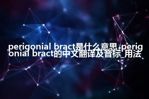perigonial bract是什么意思_perigonial bract的中文翻译及音标_用法