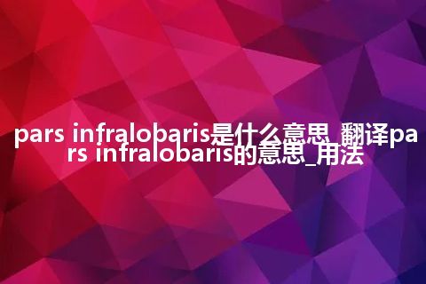 pars infralobaris是什么意思_翻译pars infralobaris的意思_用法
