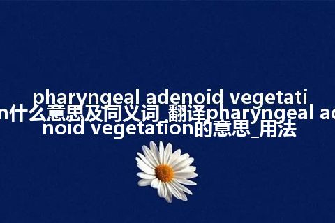 pharyngeal adenoid vegetation什么意思及同义词_翻译pharyngeal adenoid vegetation的意思_用法