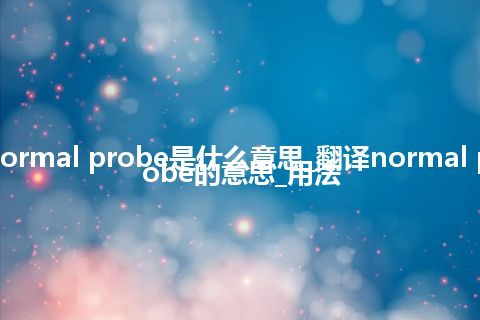 normal probe是什么意思_翻译normal probe的意思_用法