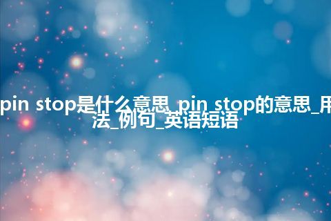 pin stop是什么意思_pin stop的意思_用法_例句_英语短语