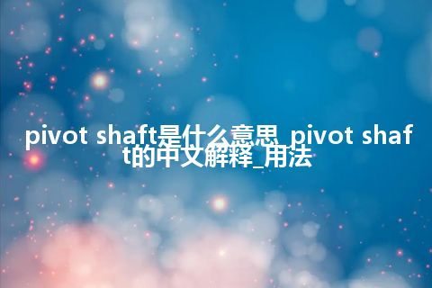 pivot shaft是什么意思_pivot shaft的中文解释_用法