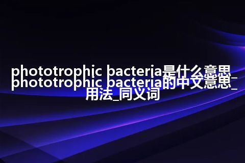 phototrophic bacteria是什么意思_phototrophic bacteria的中文意思_用法_同义词