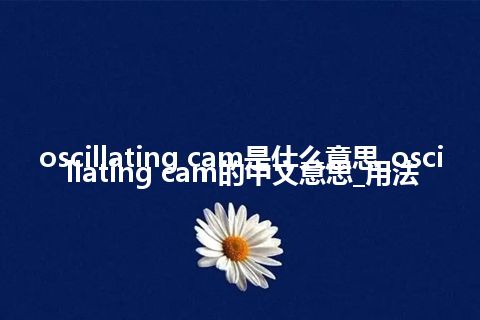 oscillating cam是什么意思_oscillating cam的中文意思_用法