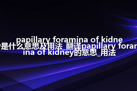 papillary foramina of kidney是什么意思及用法_翻译papillary foramina of kidney的意思_用法