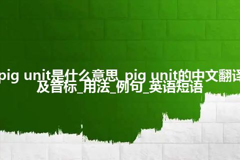 pig unit是什么意思_pig unit的中文翻译及音标_用法_例句_英语短语