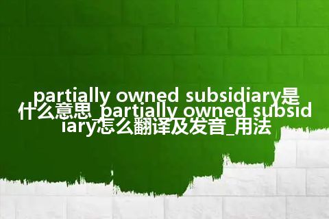 partially owned subsidiary是什么意思_partially owned subsidiary怎么翻译及发音_用法