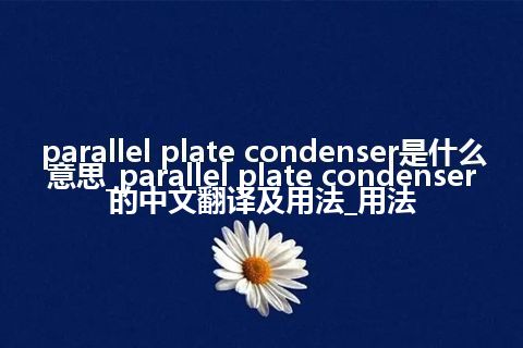 parallel plate condenser是什么意思_parallel plate condenser的中文翻译及用法_用法
