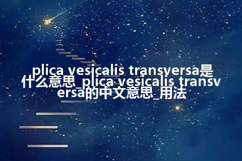plica vesicalis transversa是什么意思_plica vesicalis transversa的中文意思_用法