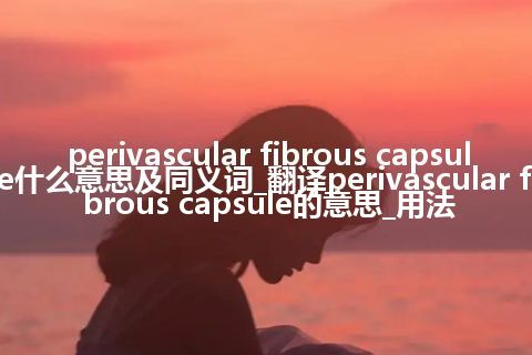 perivascular fibrous capsule什么意思及同义词_翻译perivascular fibrous capsule的意思_用法