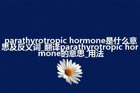 parathyrotropic hormone是什么意思及反义词_翻译parathyrotropic hormone的意思_用法