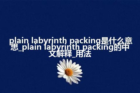 plain labyrinth packing是什么意思_plain labyrinth packing的中文解释_用法