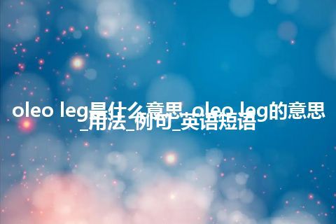 oleo leg是什么意思_oleo leg的意思_用法_例句_英语短语