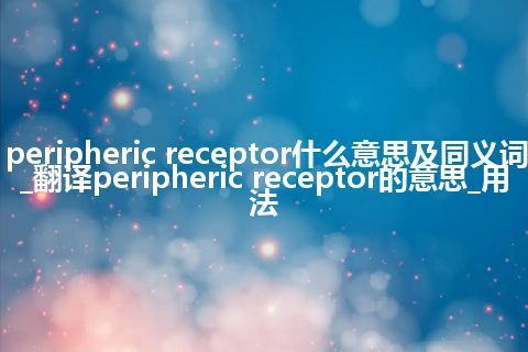 peripheric receptor什么意思及同义词_翻译peripheric receptor的意思_用法