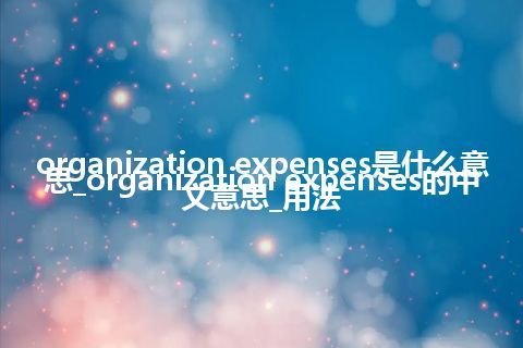 organization expenses是什么意思_organization expenses的中文意思_用法