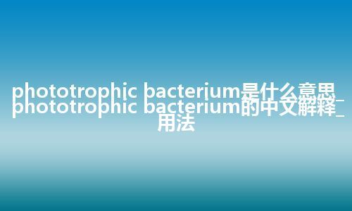phototrophic bacterium是什么意思_phototrophic bacterium的中文解释_用法