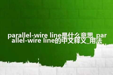 parallel-wire line是什么意思_parallel-wire line的中文释义_用法
