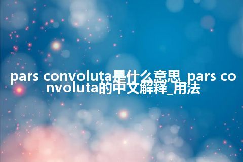 pars convoluta是什么意思_pars convoluta的中文解释_用法