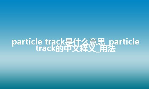 particle track是什么意思_particle track的中文释义_用法