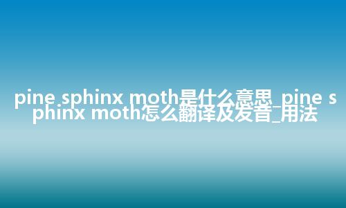 pine sphinx moth是什么意思_pine sphinx moth怎么翻译及发音_用法