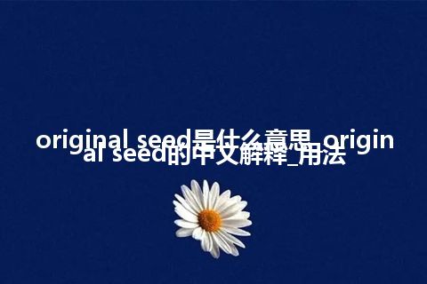 original seed是什么意思_original seed的中文解释_用法