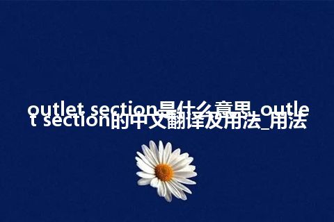 outlet section是什么意思_outlet section的中文翻译及用法_用法