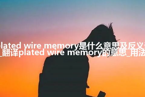 plated wire memory是什么意思及反义词_翻译plated wire memory的意思_用法