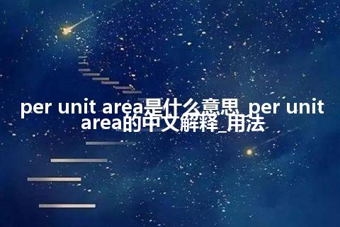 per unit area是什么意思_per unit area的中文解释_用法