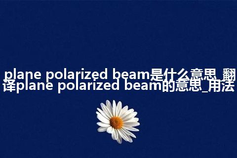plane polarized beam是什么意思_翻译plane polarized beam的意思_用法