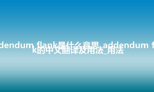addendum flank是什么意思_addendum flank的中文翻译及用法_用法