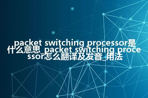 packet switching processor是什么意思_packet switching processor怎么翻译及发音_用法