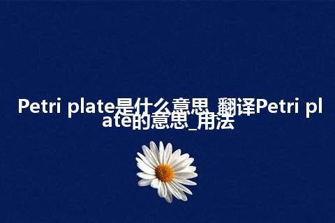 Petri plate是什么意思_翻译Petri plate的意思_用法