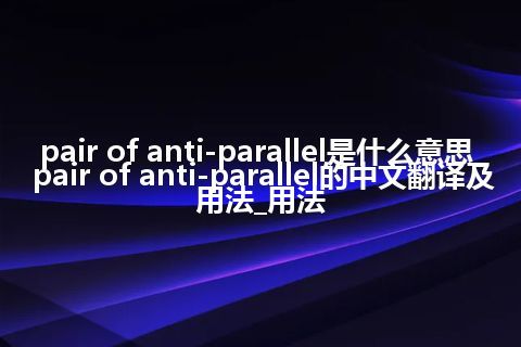 pair of anti-parallel是什么意思_pair of anti-parallel的中文翻译及用法_用法