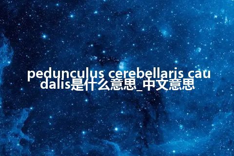 pedunculus cerebellaris caudalis是什么意思_中文意思