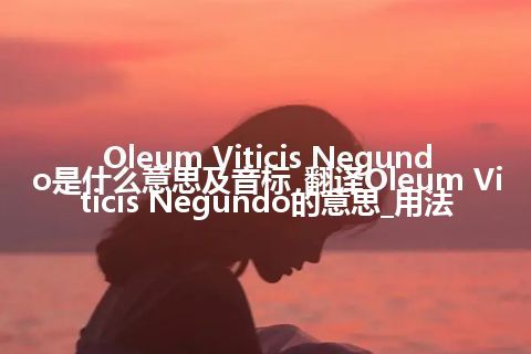 Oleum Viticis Negundo是什么意思及音标_翻译Oleum Viticis Negundo的意思_用法
