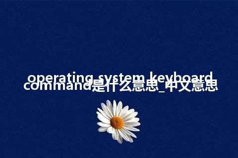 operating system keyboard command是什么意思_中文意思