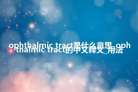 ophthalmic tract是什么意思_ophthalmic tract的中文释义_用法