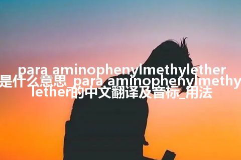 para aminophenylmethylether是什么意思_para aminophenylmethylether的中文翻译及音标_用法