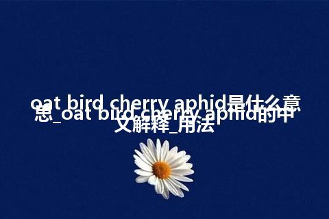oat bird cherry aphid是什么意思_oat bird cherry aphid的中文解释_用法