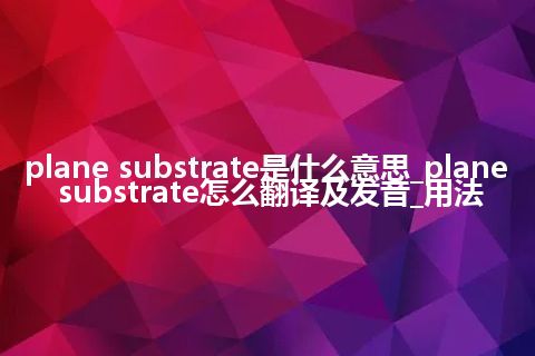 plane substrate是什么意思_plane substrate怎么翻译及发音_用法