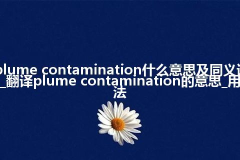 plume contamination什么意思及同义词_翻译plume contamination的意思_用法