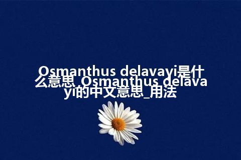 Osmanthus delavayi是什么意思_Osmanthus delavayi的中文意思_用法