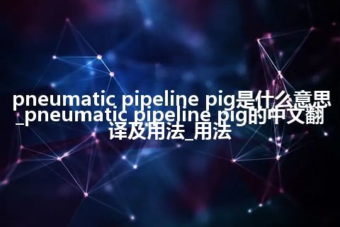 pneumatic pipeline pig是什么意思_pneumatic pipeline pig的中文翻译及用法_用法