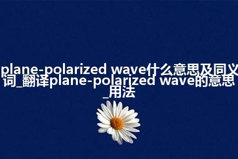 plane-polarized wave什么意思及同义词_翻译plane-polarized wave的意思_用法