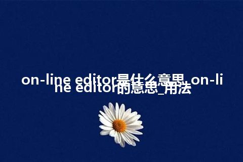 on-line editor是什么意思_on-line editor的意思_用法