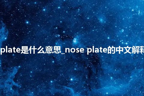 nose plate是什么意思_nose plate的中文解释_用法
