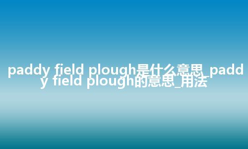 paddy field plough是什么意思_paddy field plough的意思_用法