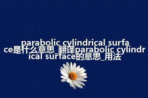 parabolic cylindrical surface是什么意思_翻译parabolic cylindrical surface的意思_用法
